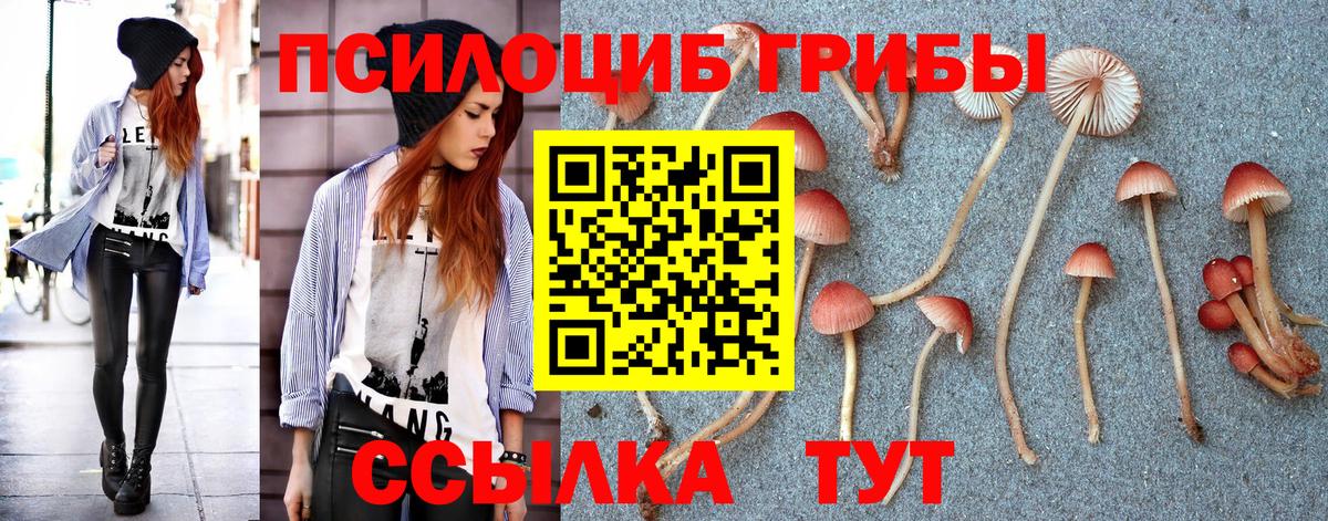 Псилоцибиновые грибы прущие грибы Симферополь