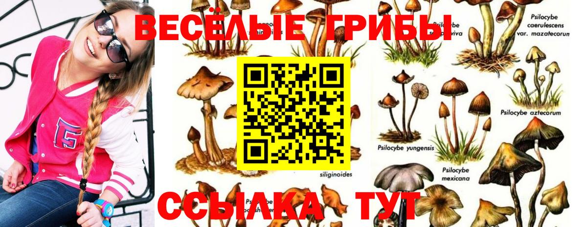 Симферополь  где продают наркотики  Псилоцибиновые грибы Psilocybe  Вход с VPN  Псилоцибиновые грибы Cubensis 